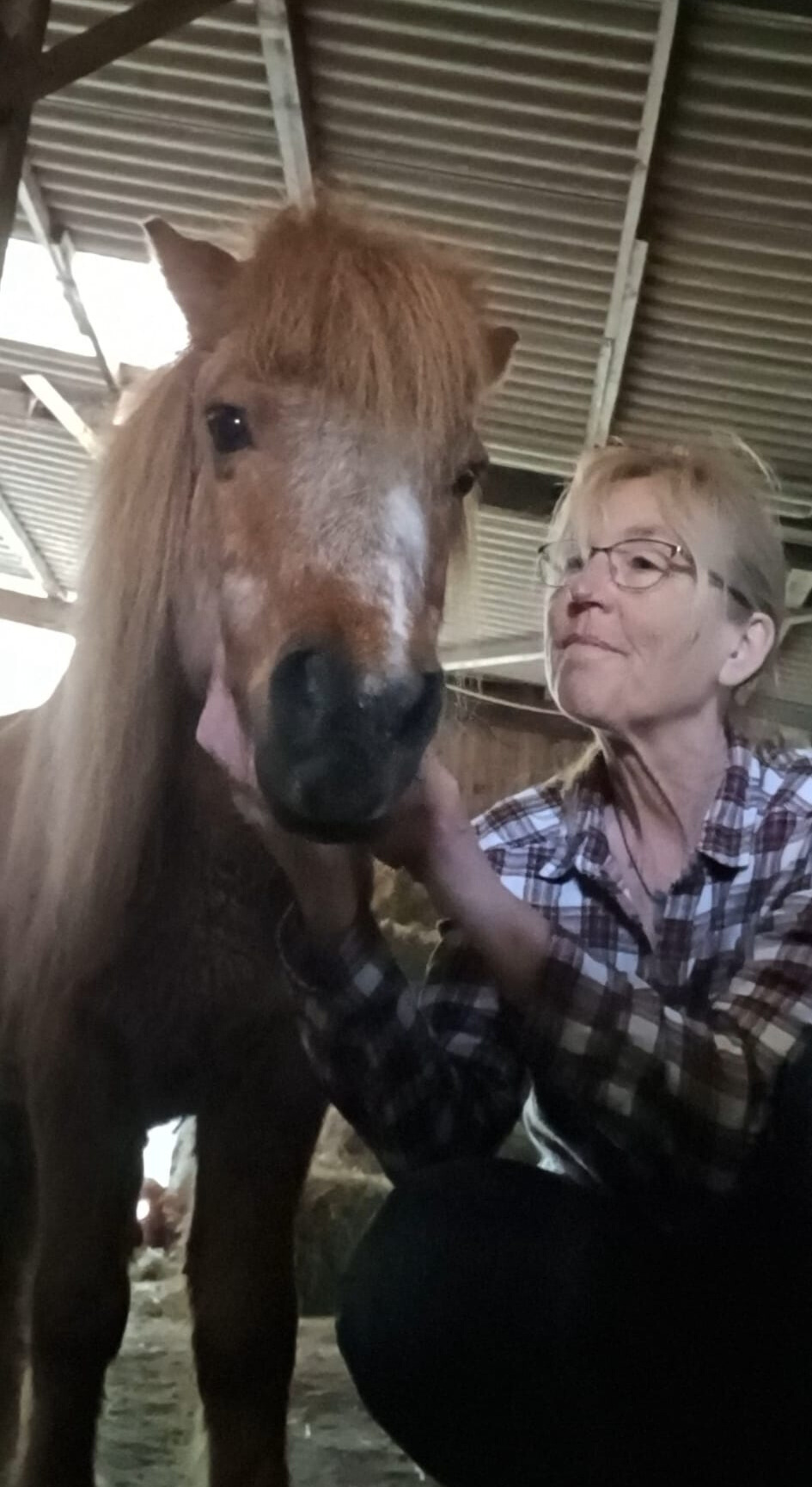 69bfc0bd-04ea-4ae7-b9f0-b00f377565fa